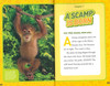 Animal Superstars:  National Geographic Kids (Hardcover)
