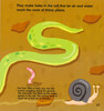 Dirt: The Scoop on Soil (Paperback)