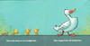 Swim, Duck, Swim! (Board Book)