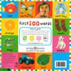 First 100 Words  (Paperback)