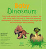 Baby Dinosaurs (Board Book)
