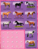 Horse and Pony: Giant Wall Chart and Poster (Paperback)