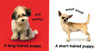 Puppies (Board Book)-Clearance Book/Non-Returnable