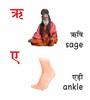 My First Book of Hindi Words (Hindi/English) (Board Book)