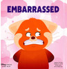 Mei's Little Box of Big Feelings Set of 5 (Hardcover)