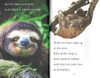 60 Book Bundle - Level 1-4 Reading Fun (Paperback)