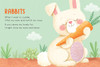 Adorable Pets (Board Book)