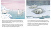 Where Are You Going, Lars? Little Polar Bear (Russian/English) (Paperback)