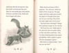 Robbie the Rebel Squirrel:  Magical Animal Café (Paperback)