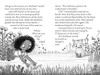 Caterflies and Ice: Zoey and Sassafras (Paperback)