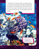 The Coral Reef: A Giant City Under the Sea (Hardcover)