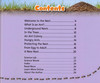 Inside the Ants' Nest (Hardcover)