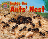 Inside the Ants' Nest (Hardcover)
