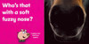 CASE OF 40 - Who's That Horsing Around on the Farm? (Board Book)*