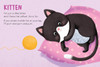 Touch & Feel Baby Animals (Board Book)-Clearance Book/Non-Returnable