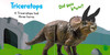 Dinosaurs: Touch & Feel (Board Book)