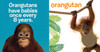 Baby Animals: Touch & Feel (Board Book)