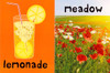 Summer: Touch and Feel (Board Book)-Clearance Book/Non-Returnable