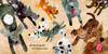 Can You Find Doug's Dog? (Spanish/English) (Paperback) 8.5 x 8.5 inches