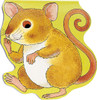 Pocket Pal Mouse (Chunky Board Book) SIZE IS 3 x 3.25 inches-Clearance Book/Non-Returnable