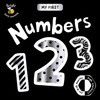 My First Numbers 1 2 3 (Board Book)