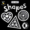 My First Shapes (Board Book)