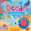 Ocean: What Made That Sound? (Board Book)*
