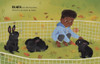 The Colors of Fall (Hardcover)