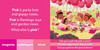 Colors:  A Question-and-Answer Book (Board Book)