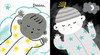 Hello! Baby's Black & White Books (Board Book)