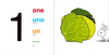 My Numbers: A Book in FOUR Languages (English/Spanish/French/Mandarin) (Board Book)