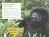 I Wish I Was a Gorilla: Level 1 (Paperback)