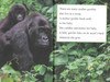 I Wish I Was a Gorilla: Level 1 (Paperback)
