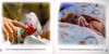 Little Bundle of Joy (Paperback)*
