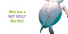 Bellies: What Animal Has a Belly Like This? (Board Book)