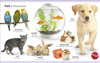 My First Bilingual Animals (Spanish/English) (Board Book)