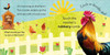 Touch and Feel Farm (Board Book)-Clearance Book/Non-Returnable