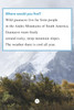 I Wish I Was a Llama: Level 1 (Paperback)