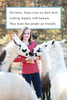 I Wish I Was a Llama: Level 1 (Paperback)