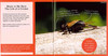 Bugs: Exploring the World of Crawly Critters (Paperback)
