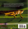 Bugs: Exploring the World of Crawly Critters (Paperback)