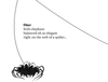 Little Elephants (Spanish/English) (Board Book)