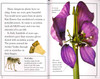 Plants Bite Back! Level 3 (Paperback)