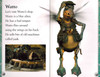 What is A Wookiee? Star Wars Level 1 (Paperback)