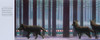 The Polar Express (Hardcover)-Clearance Book/Non-Returnable
