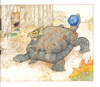 The Tortoise & The Hare (Hardcover)