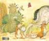 The Tortoise & The Hare (Hardcover)