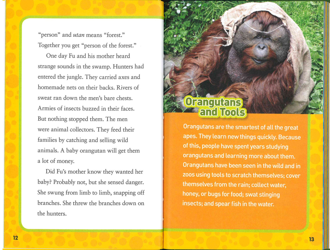 National Geographic Kids, Tools for Kids