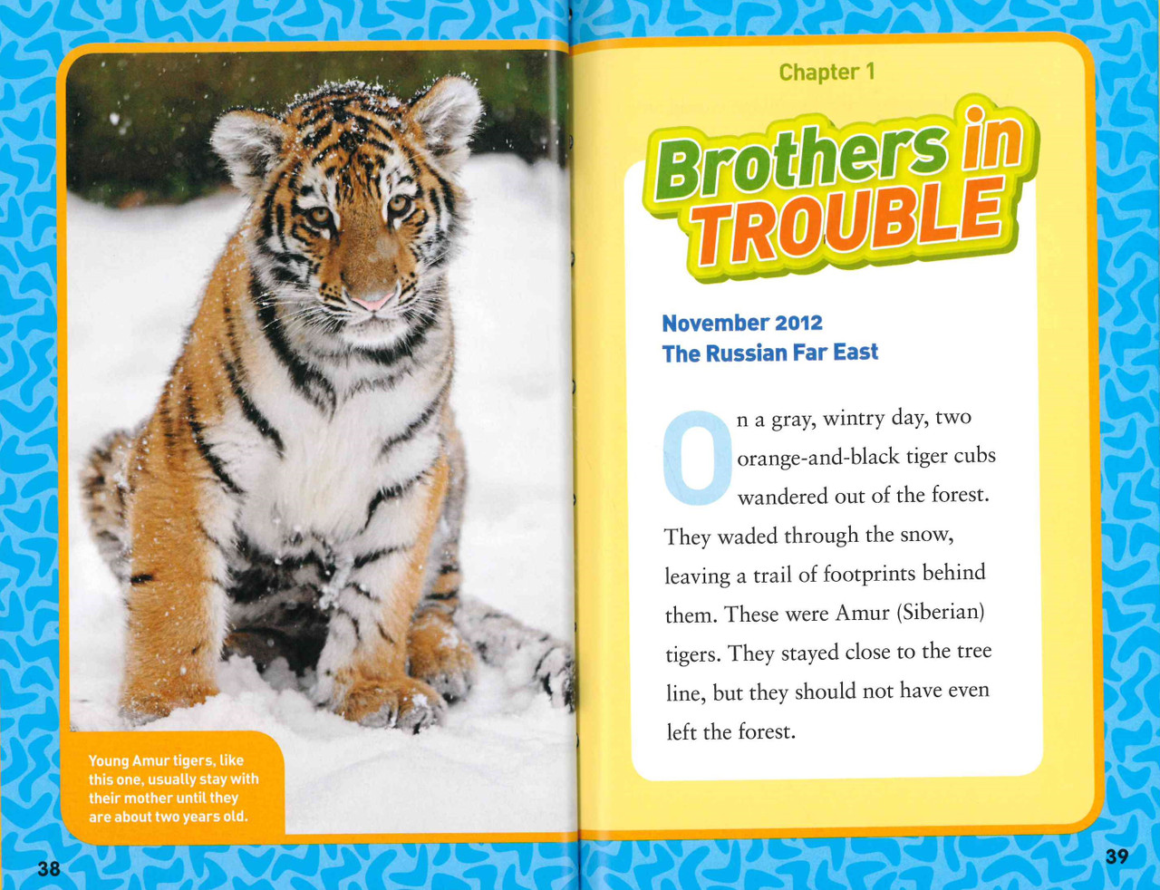 National Geographic Kids Chapters: Rhino Rescue: And More True Stories of  Saving Animals