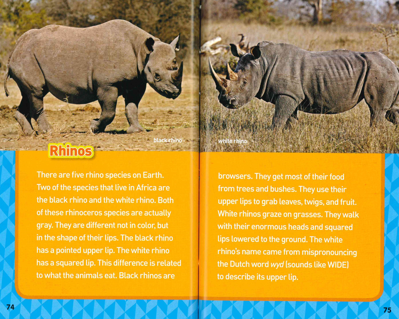 Justseeds  The Rhino Rescue Project